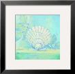 Tranquil Seashell Iv by Pamela Gladding Limited Edition Print