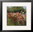 Cosmos Garden Ii by Shirley Novak Limited Edition Print