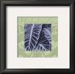 Philodendron by Dennis Dunton Limited Edition Print