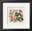 Buisson De Roses I by Laurence David Limited Edition Print