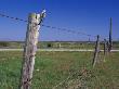 Female Ladder Backed Woodpecker, Cavity In Fence Post, Welder Wildlife Refuge, Sinton, Texas, Usa by Rolf Nussbaumer Limited Edition Print