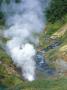 The Bolshoi / Greater Geyser Erupting, Geyser Valley, Kronotsky Zapovednik, Russia by Igor Shpilenok Limited Edition Print