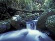Waterfall In Rainforest, Lamington National Park, Queensland, Australia by Jurgen Freund Limited Edition Print