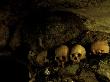 Skulls In Caves, Indonesia by Michael Brown Limited Edition Pricing Art Print