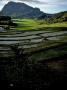 Farmland In Mountainous Range In Indonesia by Michael Brown Limited Edition Pricing Art Print