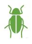 Green Bug by Avalisa Limited Edition Print