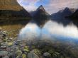 Mitre Peak Reflecting In Milford Sound, Fiordlands National Park, South Island, New Zealand by Adam Burton Limited Edition Pricing Art Print