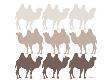 Brown Camel Family by Avalisa Limited Edition Print