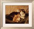 Contentment by Henriette Ronner-Knip Limited Edition Pricing Art Print