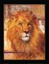 Lion by Derrick Moore Limited Edition Print