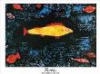 Golden Fish 1925 by Paul Klee Limited Edition Print