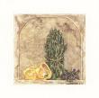Abundant Harvest Iii by Deborah K. Ellis Limited Edition Pricing Art Print