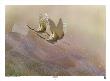 Cranes Over Waves by Keiichi Nishimura Limited Edition Print
