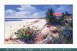 Seaside Garden by Marianne Dunn Limited Edition Print