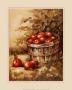 Wood Barrel And Apples by Peggy Thatch Sibley Limited Edition Print