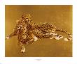 Pair Of Cheetahs by Paul O. Longenecker Limited Edition Print