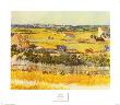 Vegetable Gardens, C.1888 by Vincent Van Gogh Limited Edition Pricing Art Print