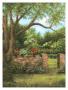 Stone Wall by Lene Alston Casey Limited Edition Print