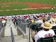 St. Louis Cardinals V Florida Marlins, Jupiter, Fl - March 01 by Marc Serota Limited Edition Print