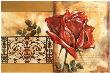Fine Rose by Margaret Zigler Limited Edition Pricing Art Print