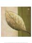 Leaf Impression, Olive by Ursula Salemink-Roos Limited Edition Pricing Art Print