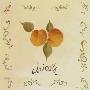 Apricots by Katharine Gracey Limited Edition Print