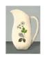 Little Autumn Milk Jug by Rozanne Doherty Limited Edition Print