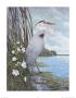 Great Blue Heron by James Harris Limited Edition Pricing Art Print