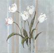 Stripes And Tulips by Rosalind Oesterle Limited Edition Print