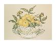 Lemons In A Bowl And Saucer by P. Bowden Limited Edition Pricing Art Print
