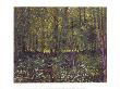 Trees And Undergrowth Paris Summer, C.1887 by Vincent Van Gogh Limited Edition Print