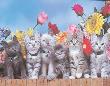 Kittens On Fence by Ron Kimball Limited Edition Print