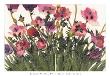 Spring Poppies Iv by Jenni Christensen Limited Edition Pricing Art Print