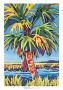 Pine Island Palm by Sally Evans Limited Edition Print