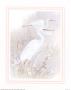 Cranes by T. C. Chiu Limited Edition Pricing Art Print