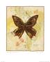 Butterfly I by Phyllis Knight Limited Edition Pricing Art Print