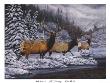 Elk Crossing by Bernie Jensen Limited Edition Pricing Art Print