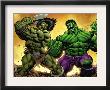 Skaar: Son Of Hulk #12 Cover: Skaar by Ed Mcguiness Limited Edition Pricing Art Print