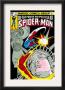 The Spectacular Spider-Man Cover: Spider-Man, Peter Parker, And Human Torch by Mike Zeck Limited Edition Print