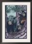 Kings Canyon Nat'l Park - Bears In Tree - Lp Poster, C.2009 by Lantern Press Limited Edition Pricing Art Print