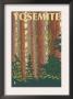 Yosemite, California - Forest Scene, C.2008 by Lantern Press Limited Edition Print
