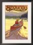 Sequoia Nat'l Park - Canoe Scene - Lp Poster, C.2009 by Lantern Press Limited Edition Pricing Art Print