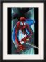 Ultimate Spider-Man #53 Cover: Spider-Man by Mark Bagley Limited Edition Pricing Art Print