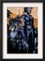 X-Men: Age Of Apocalypse #1 Cover: Wolverine And Kirika by Chris Bachalo Limited Edition Pricing Art Print