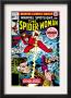 Marvel Spotlight: Spider-Woman #32 Cover: Spider Woman And Nick Fury Fighting by Sal Buscema Limited Edition Print