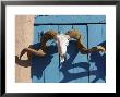 Ram's Head On Blue Door, New Mexico by Alan Veldenzer Limited Edition Print
