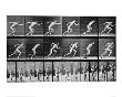 Athlete Starting On A Race by Eadweard Muybridge Limited Edition Print