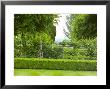 Box Hedge, Little Malvern Court Malvern Worcester by Mark Bolton Limited Edition Pricing Art Print