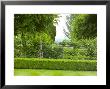 Box Hedge, Little Malvern Court Malvern Worcester by Mark Bolton Limited Edition Print