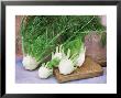 Still Life, Herb, Fennel On Wooden Board, Blue/Pink Badckground by Linda Burgess Limited Edition Print
